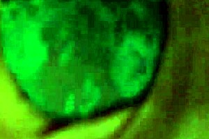 i cum in my girlfriend's panties