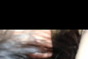 Siblings Engage in Playful Activities Together