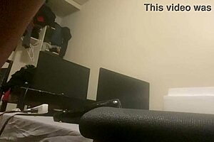 Sexy transsexual butt play with hot shemale action.