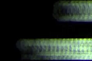 Yasmin Muller And Gaucho Pussy Hunter Anal Fuck!