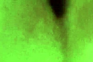 Blonde Teen Amateur with Big Ass