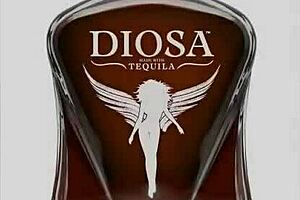 Favorite pornstars from 2000 to 2009 in iconic scenes