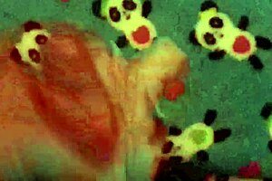 Hey, check out my neighbor's dirty clothes, perfect for some solo fun! 😉