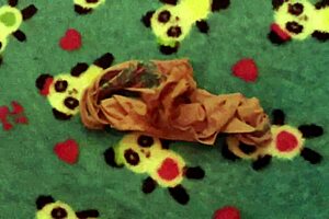 Hey, check out my neighbor's dirty clothes, perfect for some solo fun! 😉