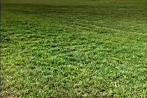 Ass Masturbation In The Field Pussy Exploration