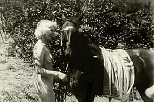 Dark lantern entertainment presents from my secret life the erotic confessions of a victorian english gentleman