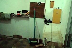 Stella's big tits in kitchen!