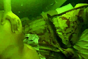 Vintage Blue Film Scene