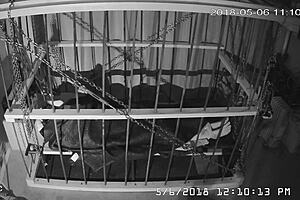 Intense cage bondage for gay slave, bound tightly in the cage