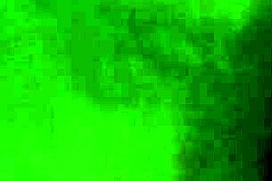 amateurs bent over in doggystyle position on all fours