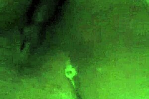 mom in the bathroom getting hot? watch her squirt!