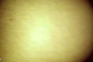 Stefany Morena with PIERCING shows off her wild side