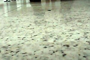 Gay Amateur Pegs In Shopping Bathroom