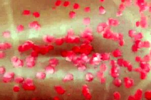 waxplay leads to him fucking my ass and creampie