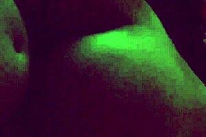 Delicious wife wants threesome!