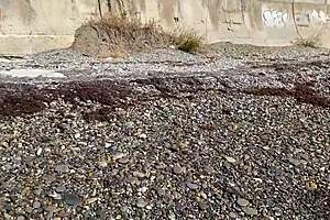 Four Hot Guys Fuck Hardcore Fisherman Girl With Anal And Blowjob