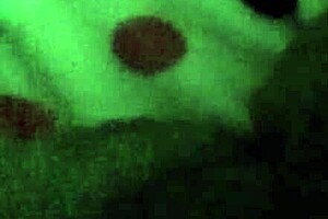 Wet Pussy Fucking with Sex Toys