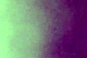 wet pussy and asshole in homemade doggystyle