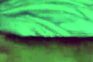 Latina Dogging Complete With Gangbang Banging Big Ass Tits