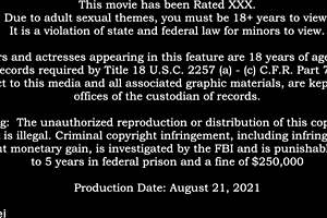 Leilani Lei sucks Mike Nova's cock and licks pussy.