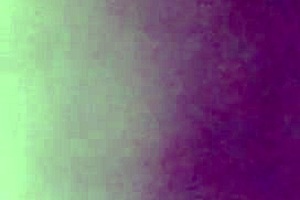 wet pussy and asshole in homemade doggystyle