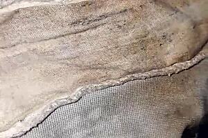 Neighbor's Dirty Underwear Left In The Laundry