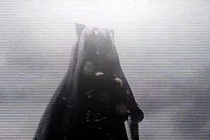 feline the blue full sounds