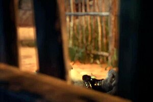 Furry Jackal Scissors Dragon In Wild Lesbian Sex!