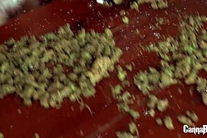 dirty dutch christmas feels so intense and naughty