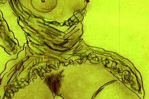 Vintage erotic illustration showcasing timeless sensual art in detail