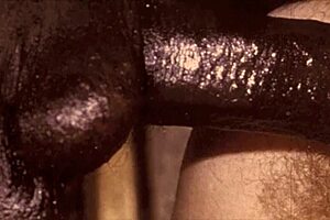 Man, you gotta see this vintage interracial blowjob clip with raw action!
