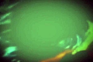 MARY BUTTERFLY IN BATH WITH FAT CHUBBY COUPLE BBW PROSTITUTE CLOSE UP