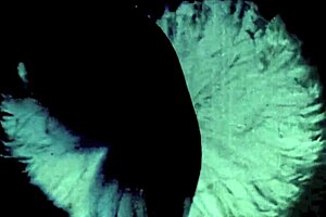 dark lantern entertainment brings steam age porn