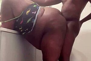 Quickie in the Bathroom Scene