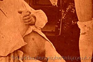 dark lantern entertainment presents louise from my secret life the erotic confessions of a victorian english gentleman