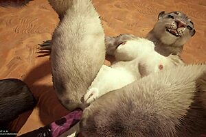 Explore Wild Adventures in Furry Hentai Worlds