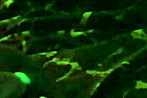 Ebony Babe Struggles to Swallow Long Cock