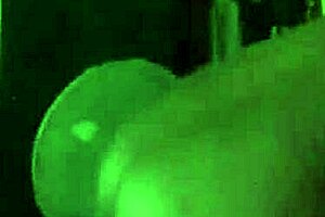 messaging my big booty neighbor