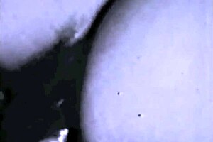 Feel the passion in vintage interracial confessions.