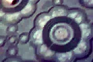 What happens when a police officer indulges in self-pleasure during duty?