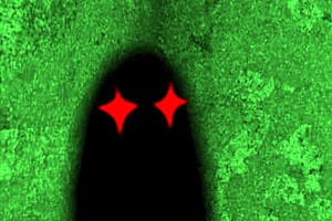 Dick House By W T Dinner!