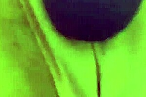 Panty Dreams: Pink Panties Tease And Fetish Play!