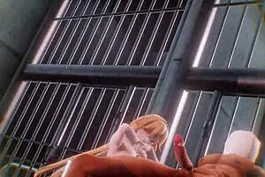 In Zeffi24's world, rich Monster Richelieu begins epic tale