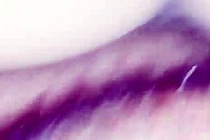 Trailer - Anal Queen Taking It in the Ass and Moaning Deliciously: Moaning Lingerie Blowbang Gaping Brunette Assfucking Pornstar Homemade Redhead Banging