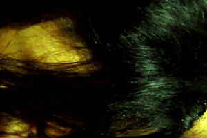 indian girl sucking cock cum on tits