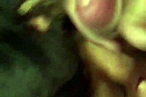 Have blacks fucked your ass yet?