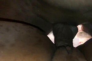 Delicious Cream Pie in Step Sister's Treat