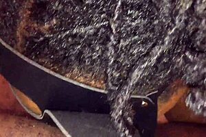 Delicious Cream Pie in Step Sister's Treat