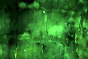 we jumped in an abandoned backyard and i sucked his cock a lot 😏