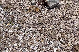 Anime girl meets random guy on the beach for detailed fucking encounter